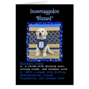 Blizzard's Name Card