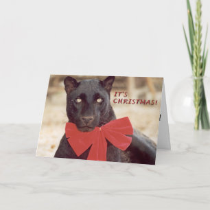 Blk Leopard Holiday Card