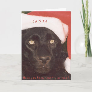 Blk Leopard Santa Holiday Card