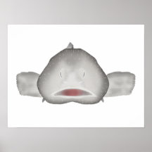 Blobfish