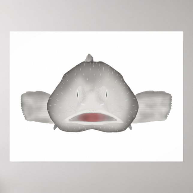 Blobfish Poster (Front)
