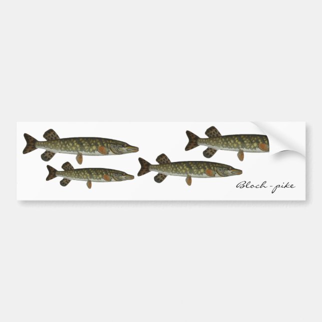 Bloch - pike bumper sticker (Front)