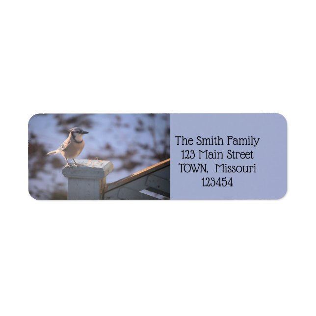 Bloe Jay Return Address Label (Front)