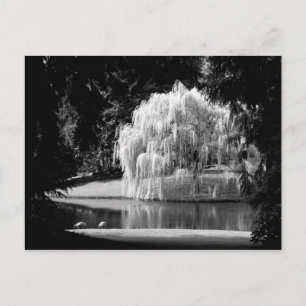 Bloedel Reserve Postcard