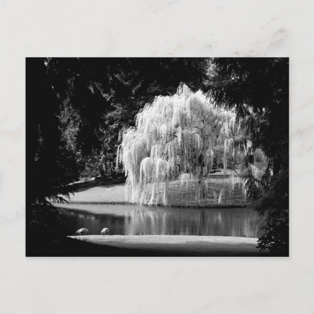 Bloedel Reserve Postcard (Front)