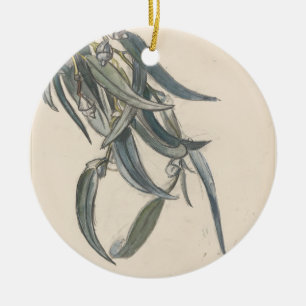 Bloeiende tak van een eucalyptus ceramic ornament