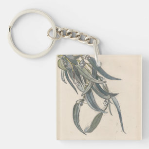 Bloeiende tak van een eucalyptus  key ring