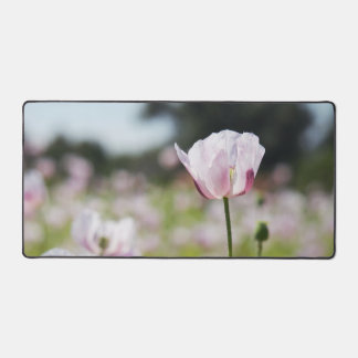 Bloemen veld met close up bloeiende lila bloem. desk mat