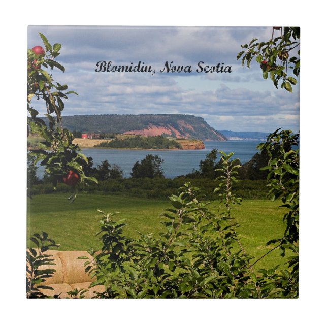 Blomidin, Nova Scotia, Canada Ceramic Tile (Front)