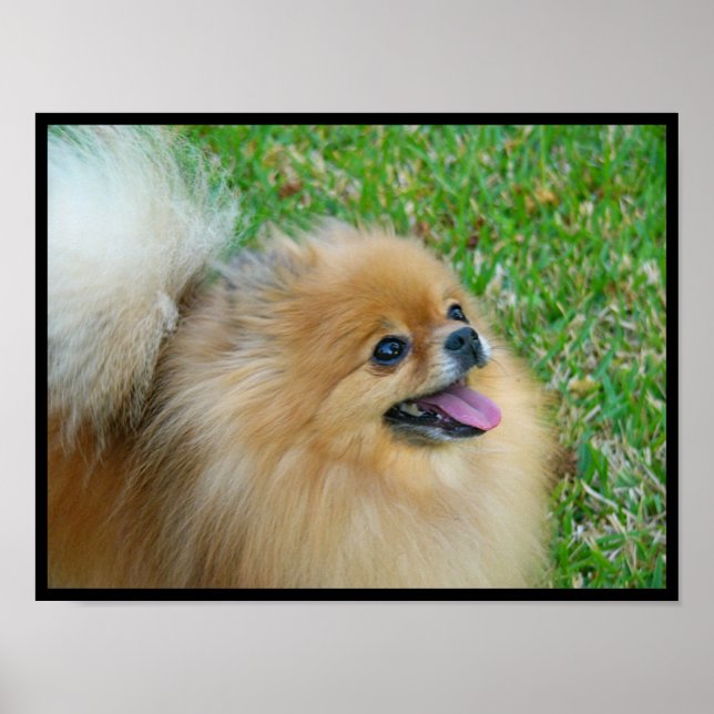 Blonde Cute Poster (Front)