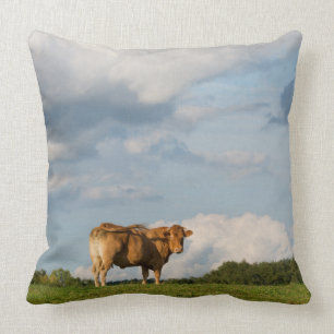 Blonde d'Aquitaine cow in Dordogne region, France Cushion