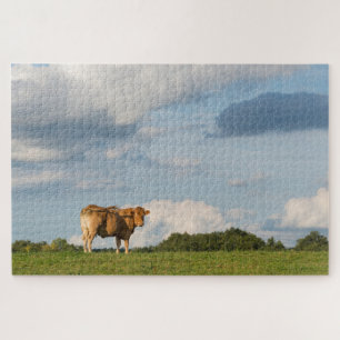 Blonde d'Aquitaine cow in Dordogne region, France Jigsaw Puzzle