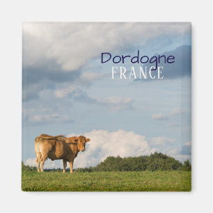Blonde d'Aquitaine cow in Dordogne region, France Magnet
