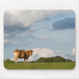Blonde d'Aquitaine cow in Dordogne region, France Mouse Pad