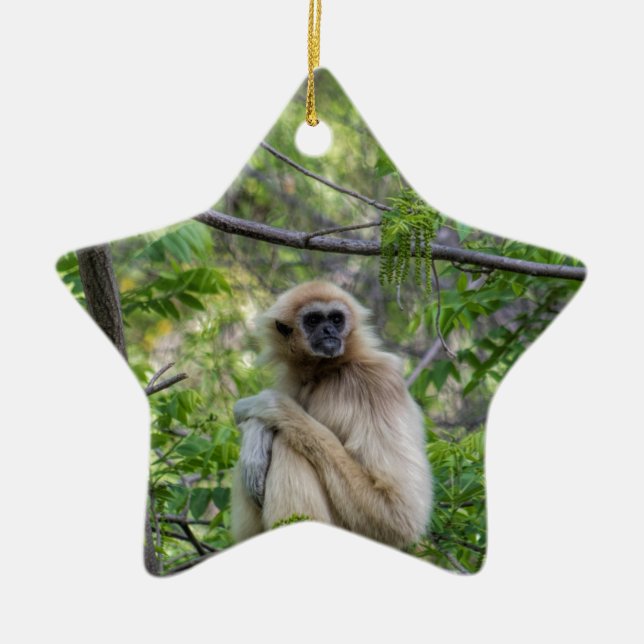 Blonde Gibbon Monkey - Hylobates lar Ceramic Ornament (Front)