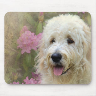 blonde goldendoodle in garden mouse pad