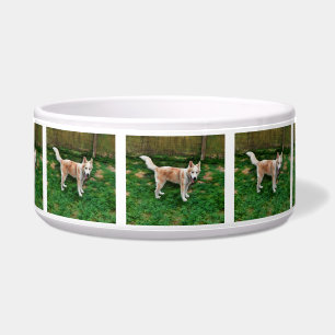 Blonde Husky Girl Ceramic Pet Bowl