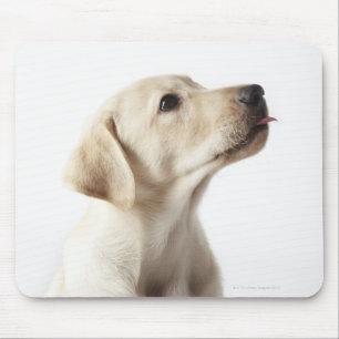 Blonde Labrador puppy sticking out tongue Mouse Pad