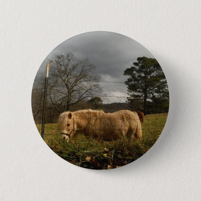 Blonde Miniature Pony / Horse 6 Cm Round Badge (Front)