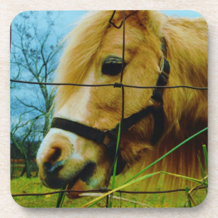 Blonde Miniature Pony / Horse Blue Sky Coaster