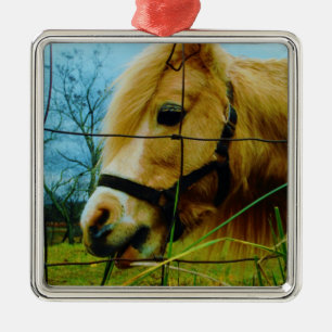 Blonde Miniature Pony / Horse Blue Sky Metal Ornament