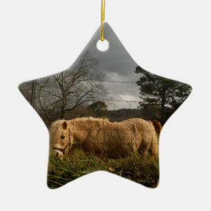 Blonde Miniature Pony / Horse Ceramic Ornament