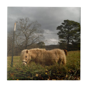 Blonde Miniature Pony / Horse Ceramic Tile