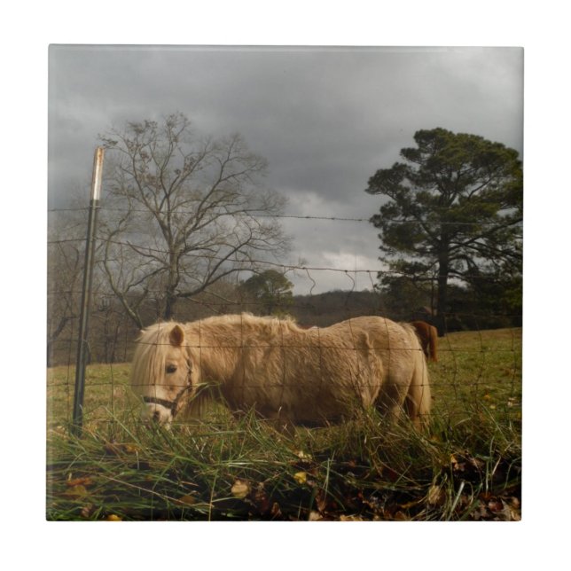 Blonde Miniature Pony / Horse Ceramic Tile (Front)