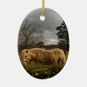 Blonde Miniature Pony / Horse Ceramic Tree Decoration