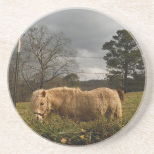 Blonde Miniature Pony / Horse Coaster