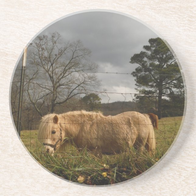 Blonde Miniature Pony / Horse Coaster (Front)
