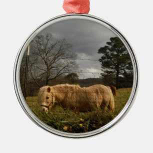 Blonde Miniature Pony / Horse Metal Ornament