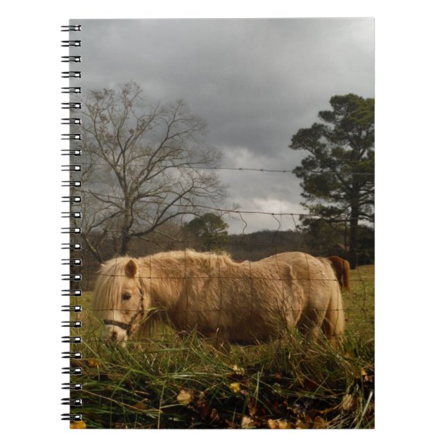 Blonde Miniature Pony / Horse Notebook (Front)