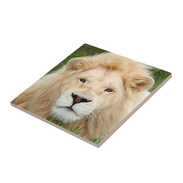 Blonde Pearl Tile (Side)