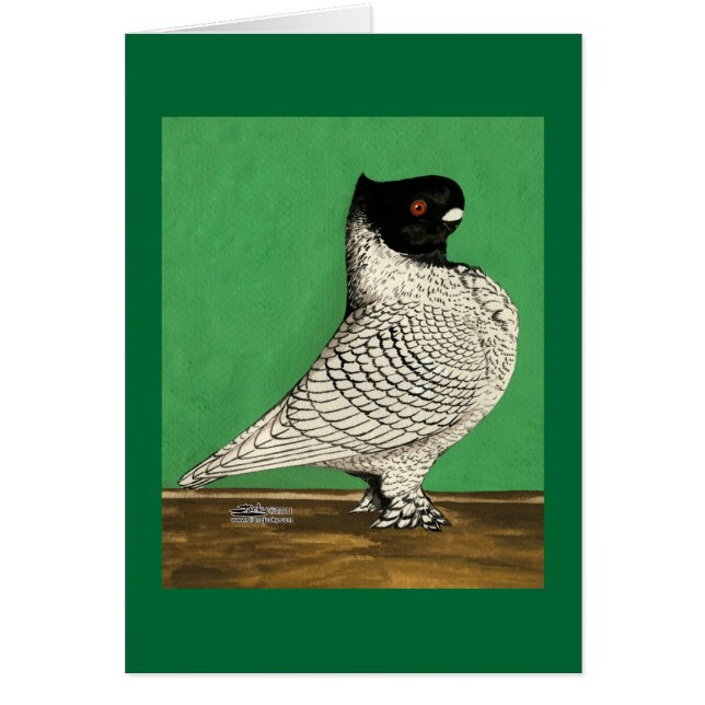 Blondinette Frill Pigeon (Front)