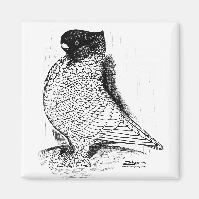 Blondinette Pigeon Laced 1978 Magnet (Front)