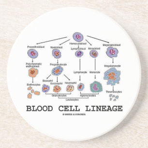 Blood Cell Lineage (Biology Health Medicine) Coaster