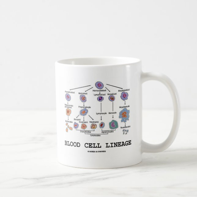Blood Cell Lineage (Biology Health Medicine) Coffee Mug (Right)