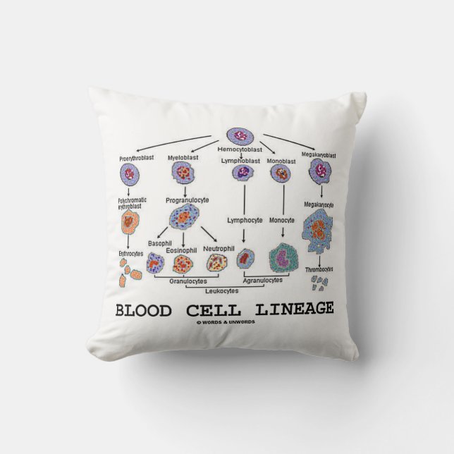 Blood Cell Lineage (Biology Health Medicine) Cushion (Front)