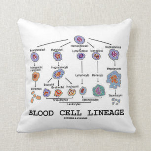 Blood Cell Lineage (Biology Health Medicine) Cushion