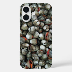 Blood Cockle Shells iPhone 16 Case
