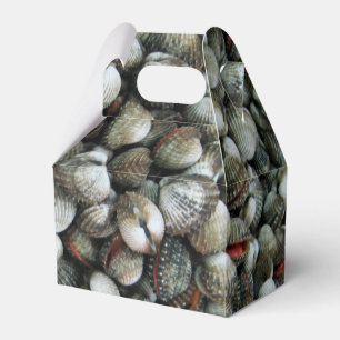 Blood Cockle Shells Favour Box