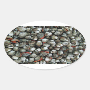 Blood Cockle Shells Oval Sticker