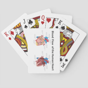 Blood Flow of the Human Heart Playing Cards