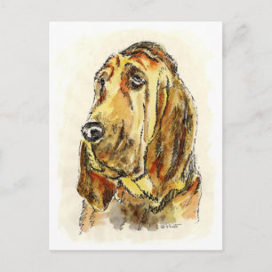 Blood Hound Dogs Postcard