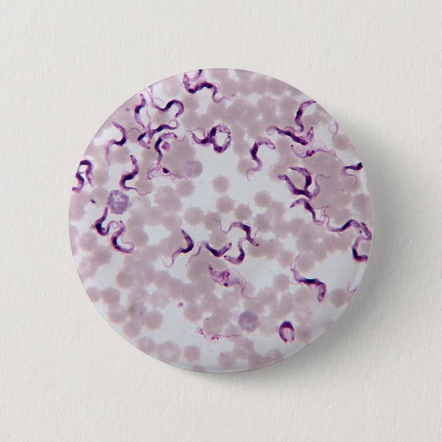 Blood Parasite Trypanosoma 6 Cm Round Badge (Front)