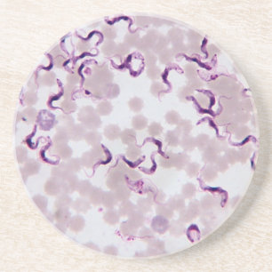 Blood Parasite Trypanosoma Coaster