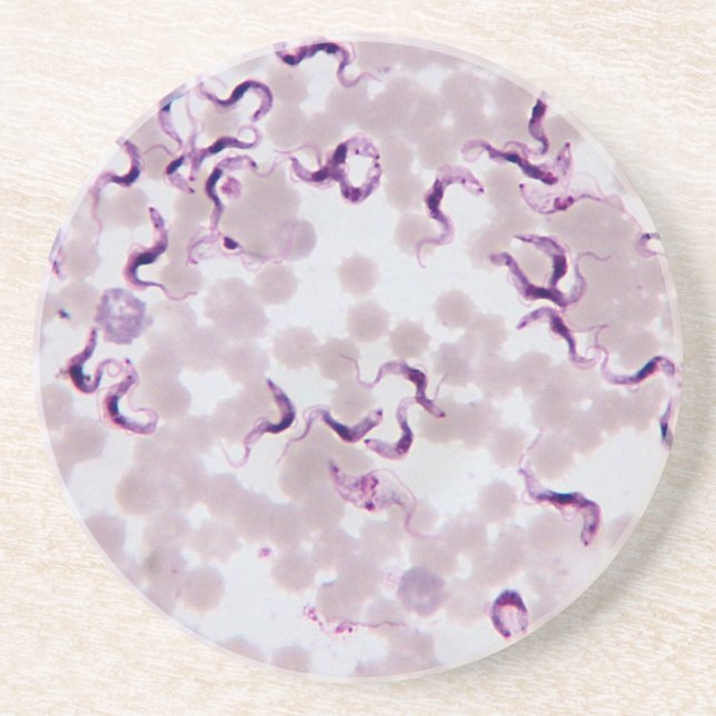 Blood Parasite Trypanosoma Coaster (Front)