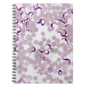 Blood Parasite Trypanosoma Notebook