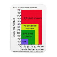 BLOOD PRESSURE CHART MAGNET